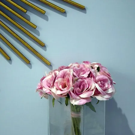 Appartement Maison Magò Salernes