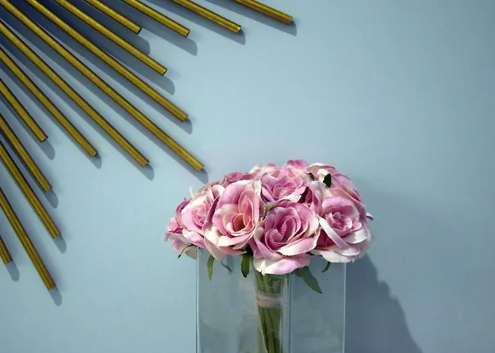 Appartement Maison Magò Salernes